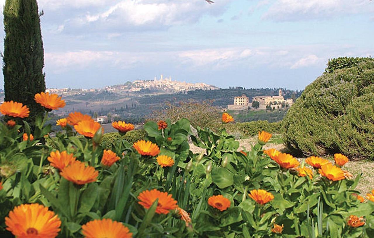 Agriturismo Fattoria Il Piano - Appartamento Antica Cucina - San Gimignano Zewnętrze zdjęcie